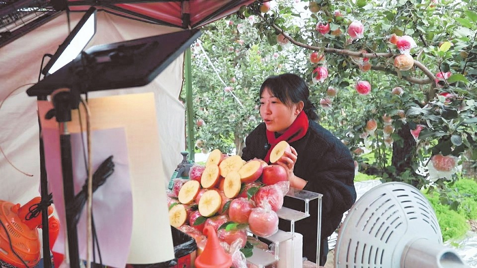 临猗电商主播推销苹果