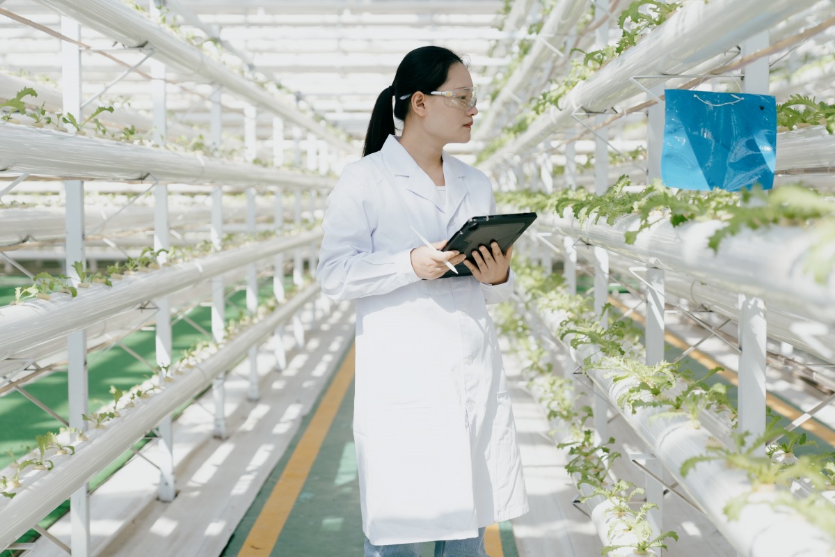 科研人員在溫室