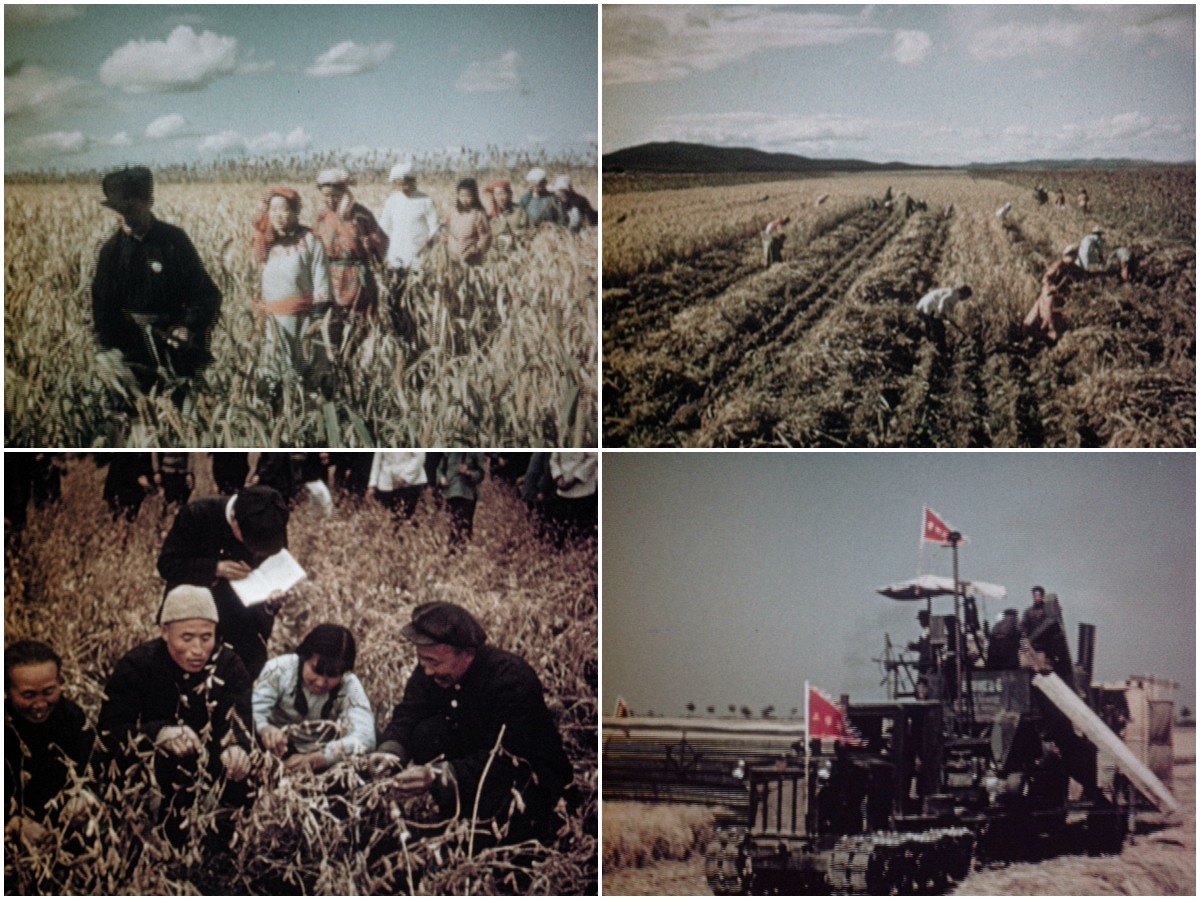 In 1952, the land reform allowed farmers to own their own land, and machinery began to be used for farming.