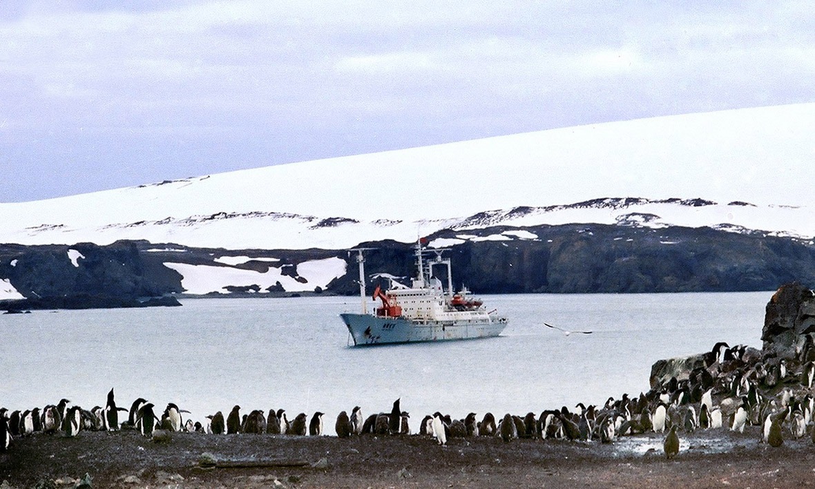 1984年12月26月凌晨二時，考察隊到達南極喬治王島。圖為停泊在喬治王島菲爾德士半島附近的「向陽紅10」考察船。