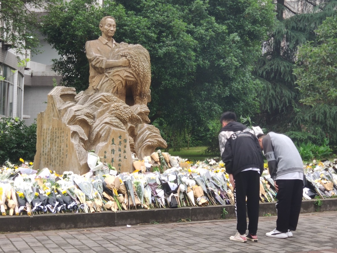當代中國-袁隆平吳孟超-心中時刻裝着國家和人民 當代中國-袁隆平吳孟超-心中時刻裝着國家和人民