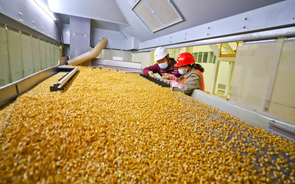 中国人对粮食需要不断增加,只有巩固自己的粮食生产才可以保证国家安全。 中国人对粮食需要不断增加,只有巩固自己的粮食生产才可以保证国家安全。