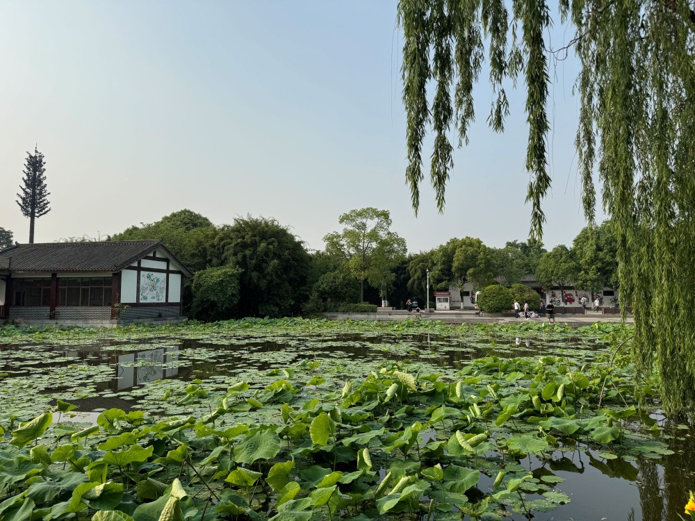 年畫湖位於年畫村