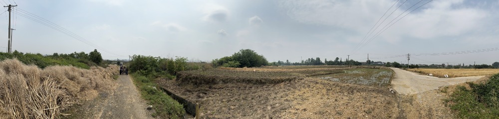 四川綿竹故城遺址分佈面積約60萬平米。