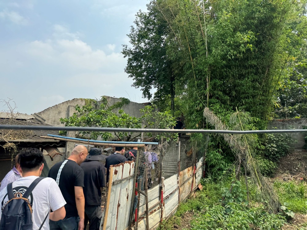 四川綿竹故城遺址，上山小路