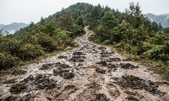 母親把藥渣倒在山路上