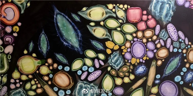 當代中國-中國之最-種子銀行 當代中國-中國之最-種子銀行