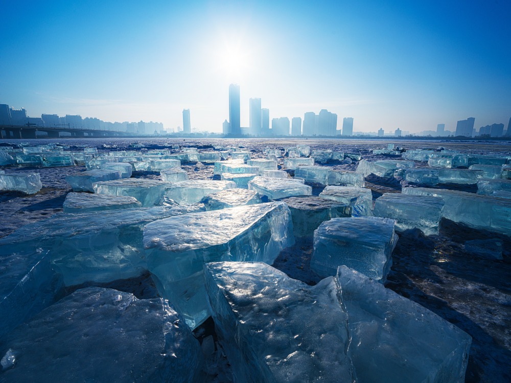 "Diamond sea" from ice harvesting in Harbin