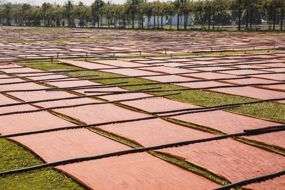 Sun-drying Xiangyunsha silk