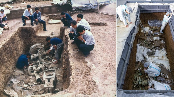 Sanxingdui Technology - Comparison