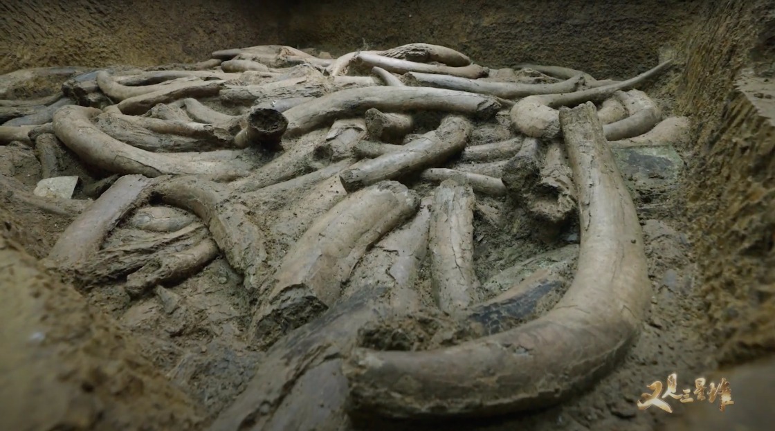 Sanxingdui Technology - Ivory