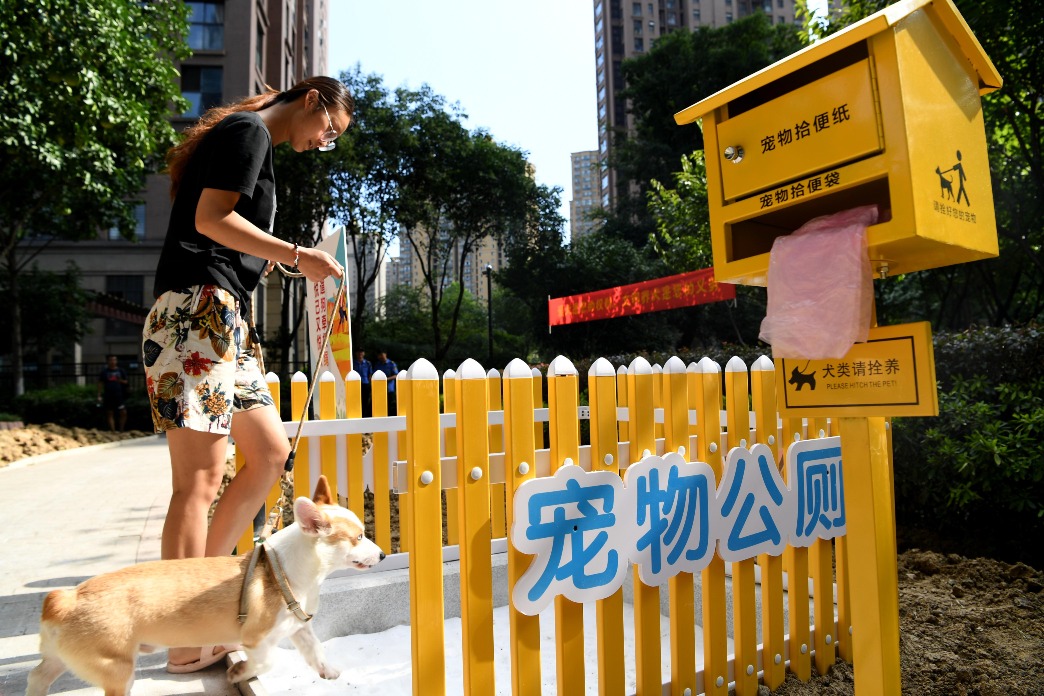 當代中國-寵物經濟-新商機 當代中國-寵物經濟-新商機