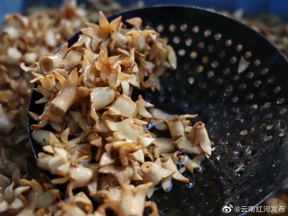 云南炒石榴花 云南炒石榴花