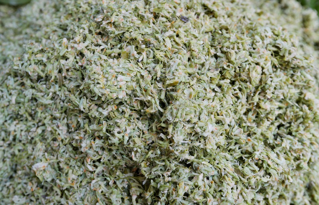 云南苦刺花 苦刺花带有苦涩味,需要去除硬梗、用水焯过及在清水浸泡几日。