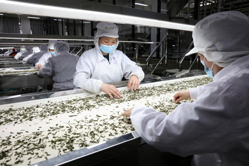 中國新茶飲綠茶