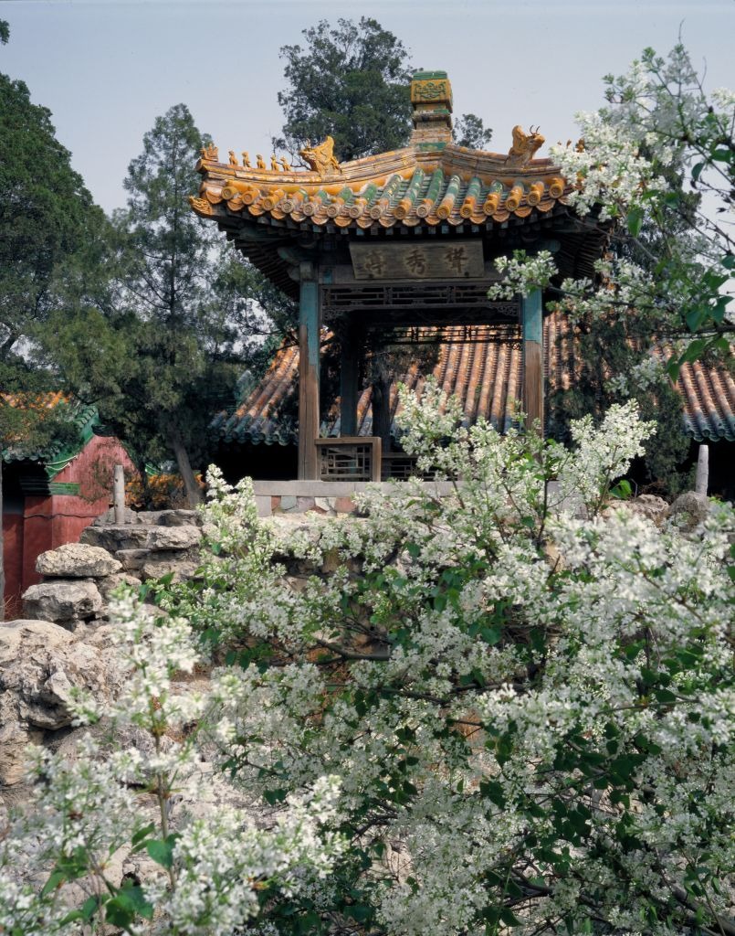 宁寿宫花园-耸秀亭