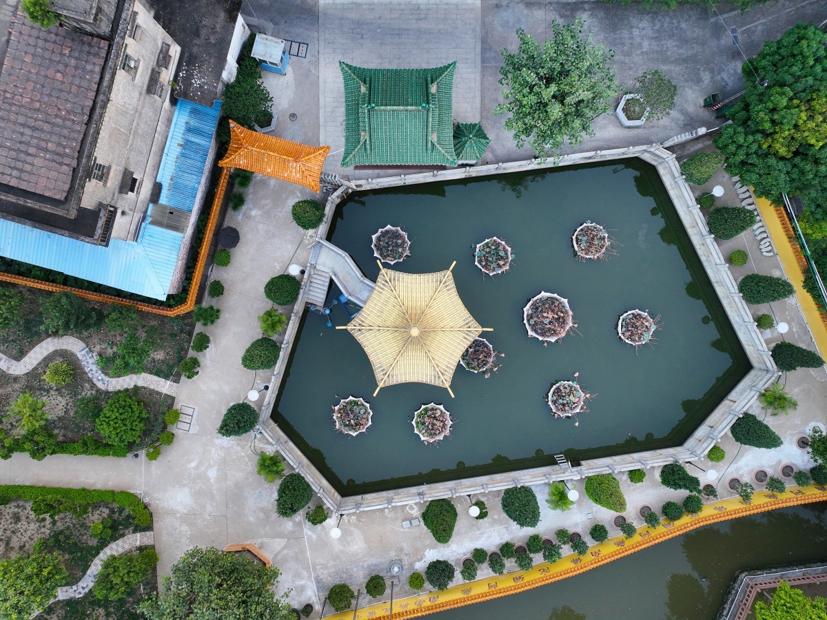 湾区自由行建筑篇-逢简村