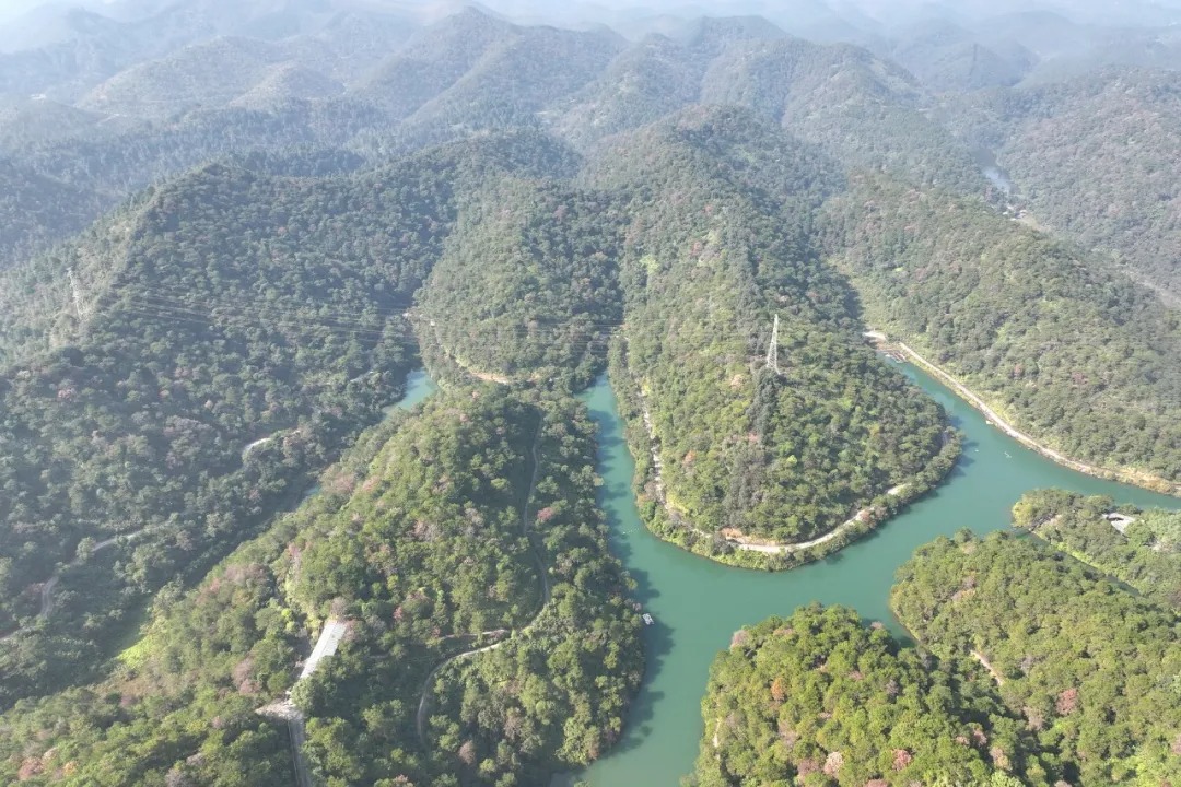 一潭绿水自东向北穿山而过，这便是有“高明小漓江”之称的潭黎水库。