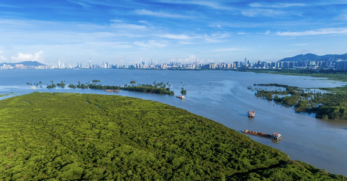 福田紅樹林生態公園位處河海交彙，鹹淡水混合，含豐富的有機質和肥沃的水質。