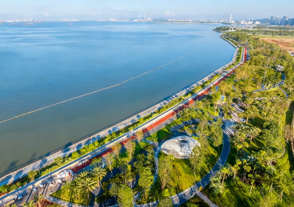 东莞滨海湾新区 湾区自由行自然篇-广东最美步道