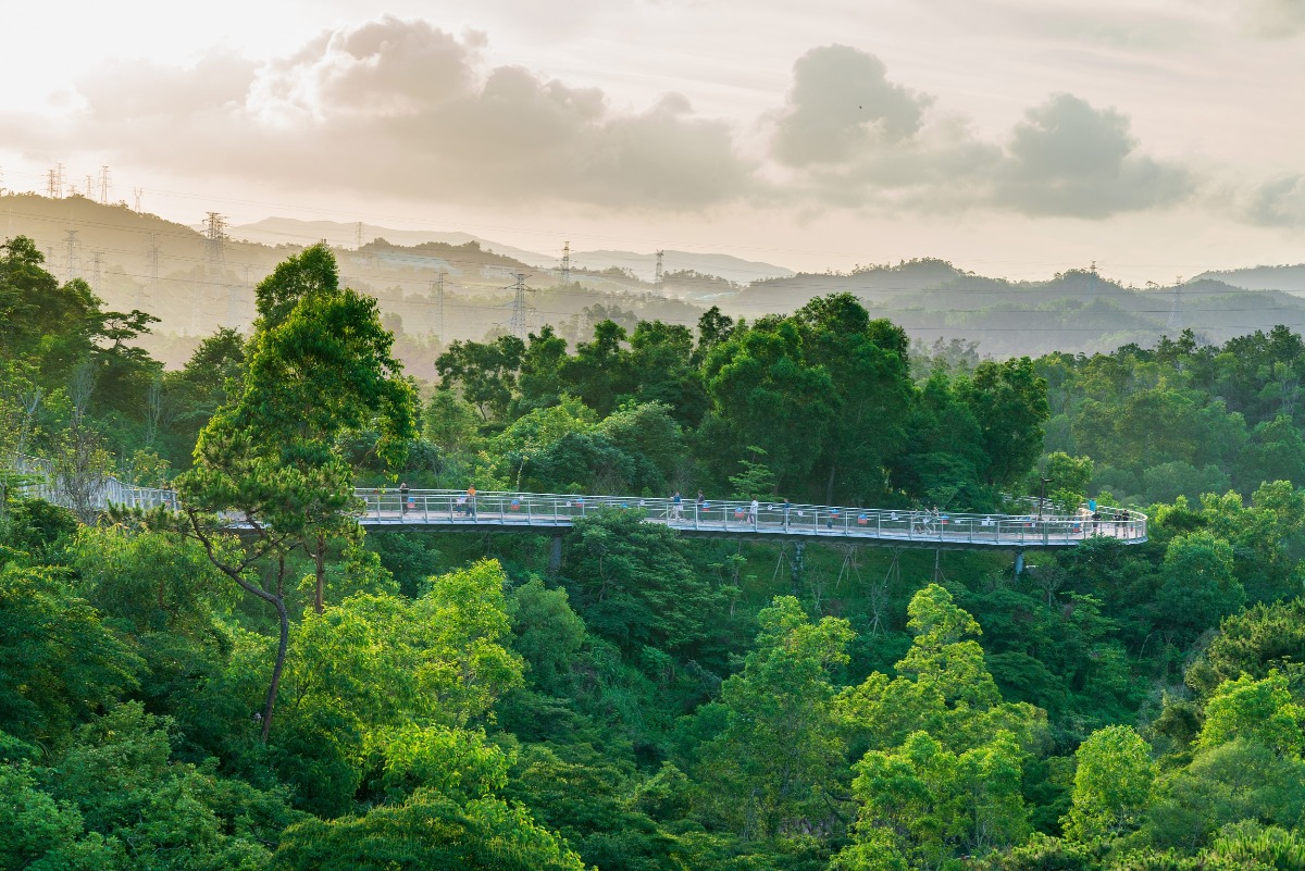 珠海香山云道 湾区自由行自然篇-广东最美步道