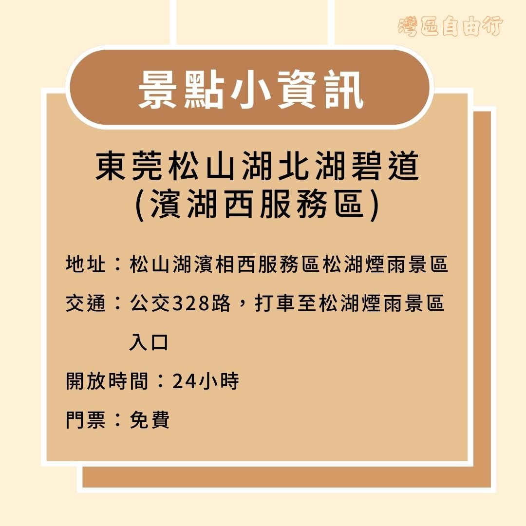 東莞松山湖北湖碧道 灣區自由行-廣東騎行好去處