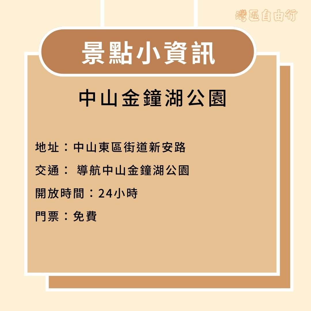 中山金钟湖公园 湾区自由行自然篇-广东最美步道