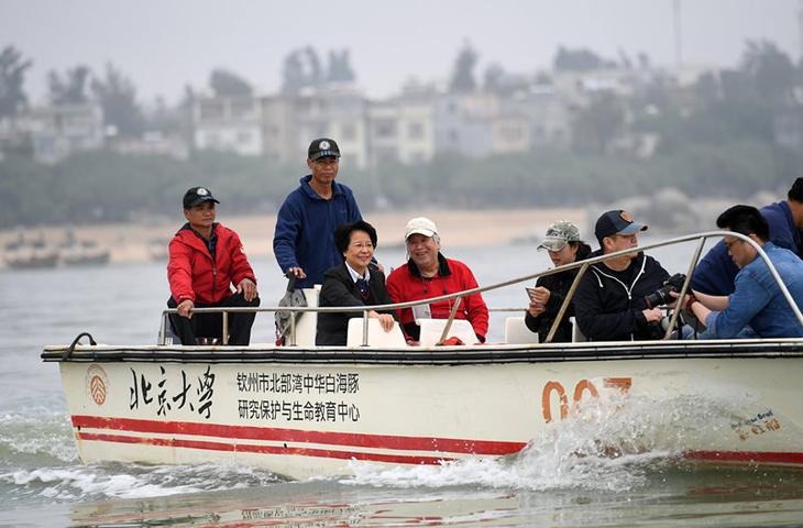 潘文石（左四）在廣西欽州市三娘灣海域乘船出海觀察中華白海豚。（網上圖片）