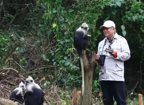 潘文石已經83歲，仍站在保護最前線，由早年在深山追蹤研究野生熊貓，到今天仍孜孜不倦保育白頭葉猴和拯救中華白海豚。（網上圖片）