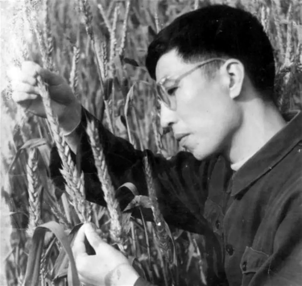 圖為年輕時的李振聲。 圖為年輕時的李振聲。