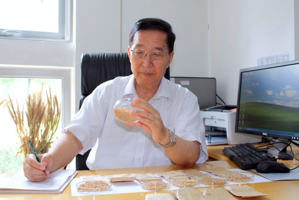 李振聲除了是農業科學家,也是農業發展戰略專家。 李振聲除了是農業科學家,也是農業發展戰略專家。