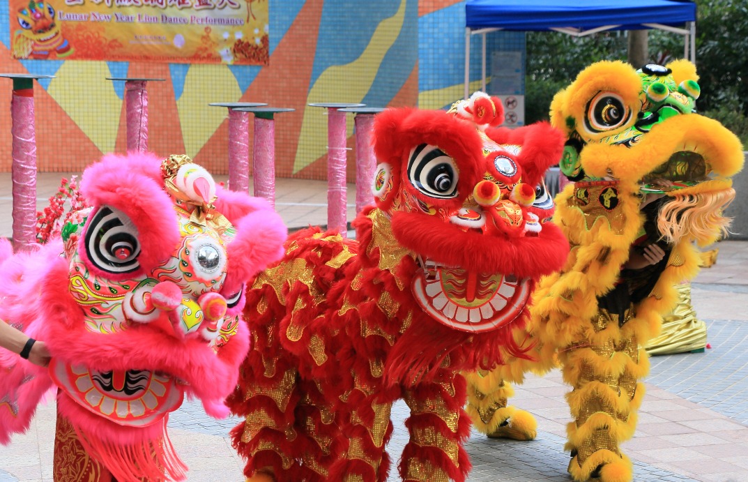 當代中國-粵港澳大灣區-香港文化-舞獅