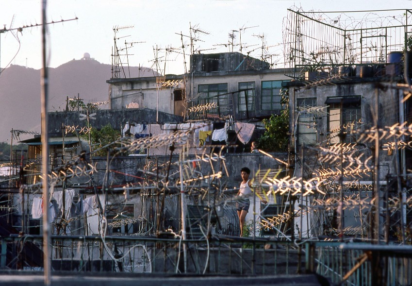 九龍城寨的大廈天台架起密麻麻的「魚骨」電視天線，每次颱風過後，天線都會吹得七歪八斜、七零八落。（圖片來源：Getty）