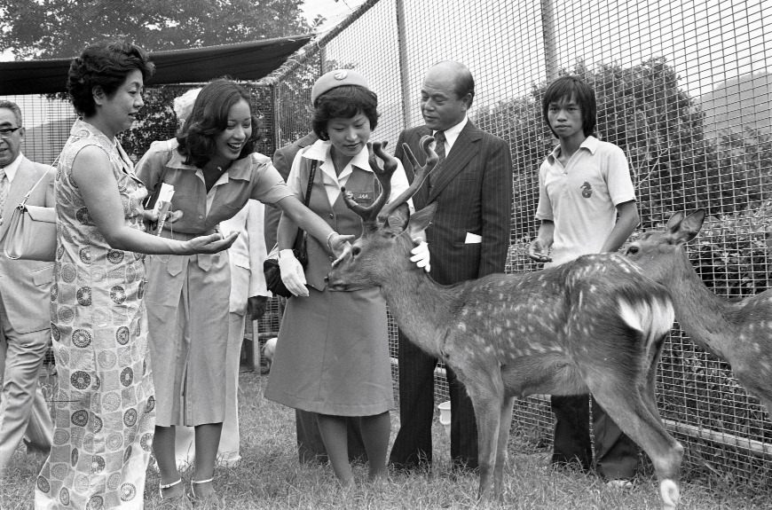 海洋公園剛落成已有很多不同種類的動物。圖為1977年港姐冠軍朱玲玲（左二）到海洋公園親親一頭日本鹿的情況。（圖片來源：Getty）