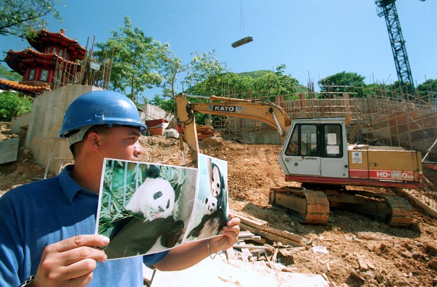1999年香港回歸兩周年，中央政府向香港送贈一對大熊貓「安安」及「佳佳」，海洋公園為他們興建新居。（圖片來源：Getty）