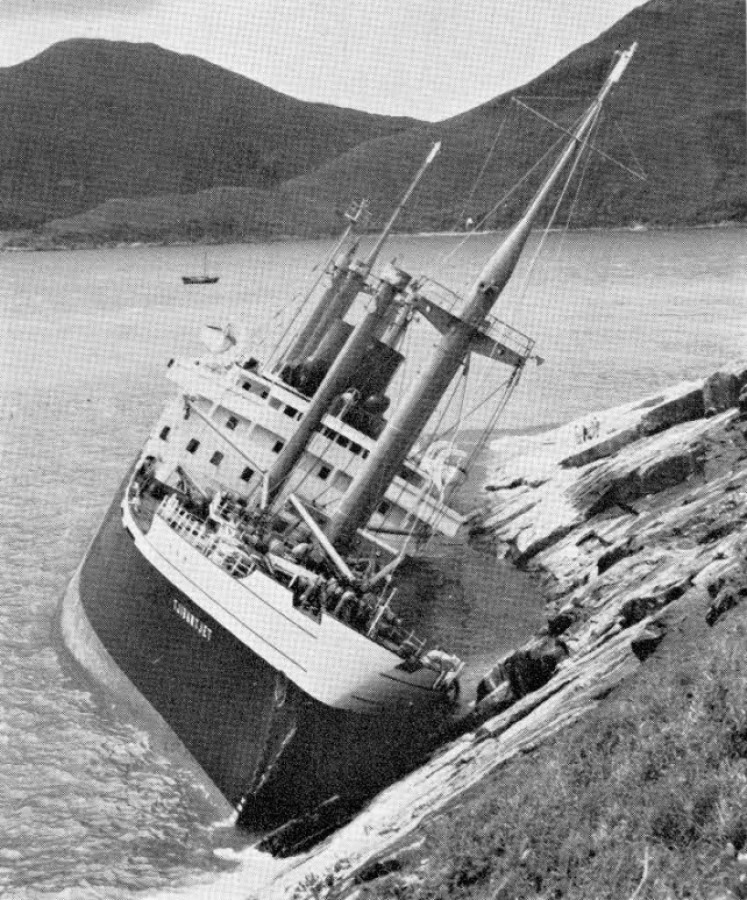 1957年襲港的颱風「姬羅莉亞」導致一艘荷蘭的貨輪在將軍澳一帶擱淺。（網上圖片）