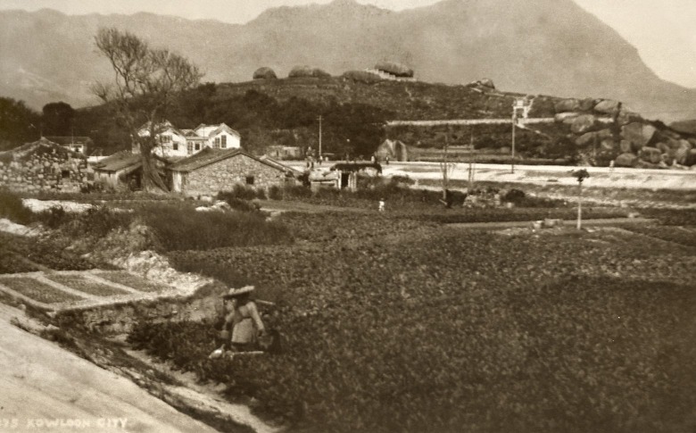這幀圖片記錄了1920年代馬頭涌附近的農田風光，農田後方便是聖山，山崗上的巨石便是宋皇臺碑石。（圖片來源：香港記憶／高添強）