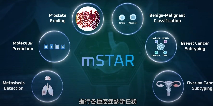 科大AI医学模型 mSTAR