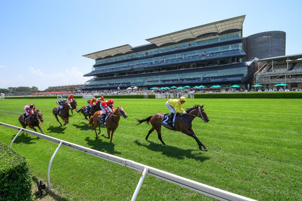 源自香港賽馬的「造馬」一詞，指比賽造假、內定、作弊等，人為控制馬匹在賽事的表現。