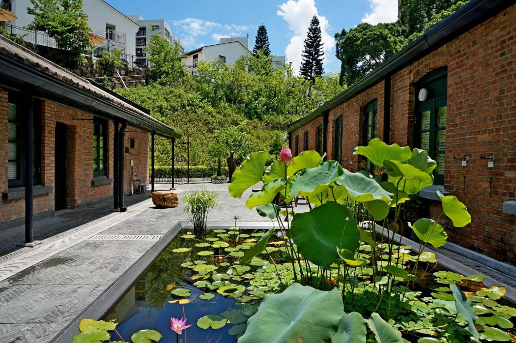 饒宗頤文化館的「天光雲影」荷花池 饒宗頤文化館的「天光雲影」荷花池