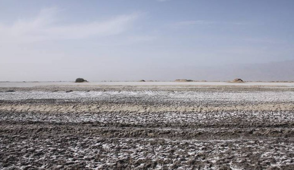 內地有不少鹽鹼地，鹽分含量高，農作物難以生長。圖為甘肅省一處鹽鹼地。