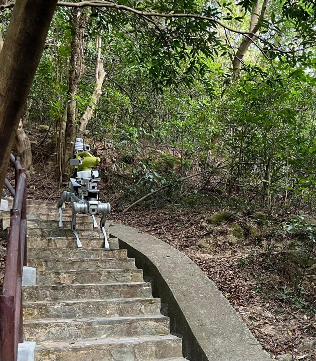 食環署現時利用滅蚊機械狗，深入山坡、叢林、植被茂密地帶，進行霧化滅蚊。
