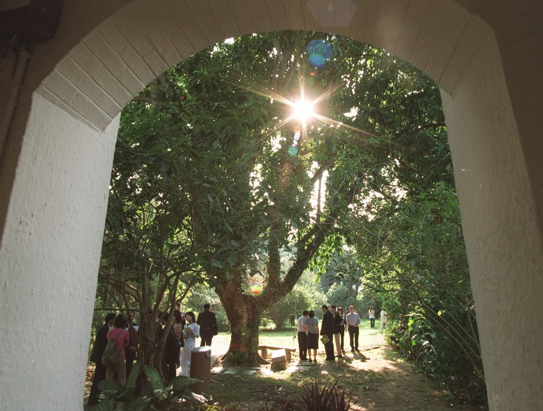 前新界政務司官邸的英式庭園種植了超過140種植物。