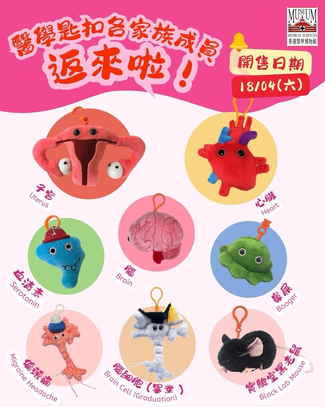 香港醫學博物館人體器官公仔鎖匙扣紀念品