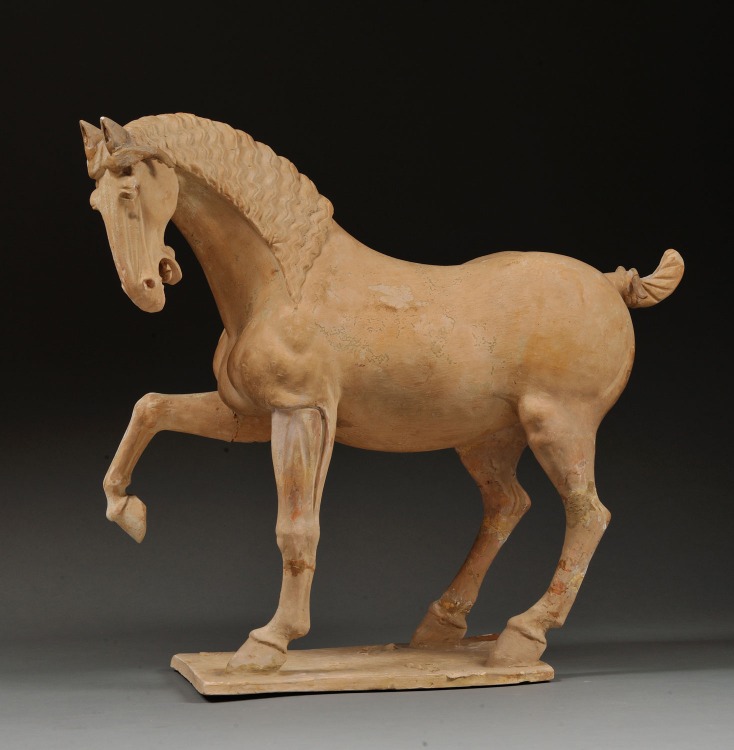 中華文化節的展覽活動「香港賽馬會呈獻系列：長安萬象—陝西隋唐文明展」