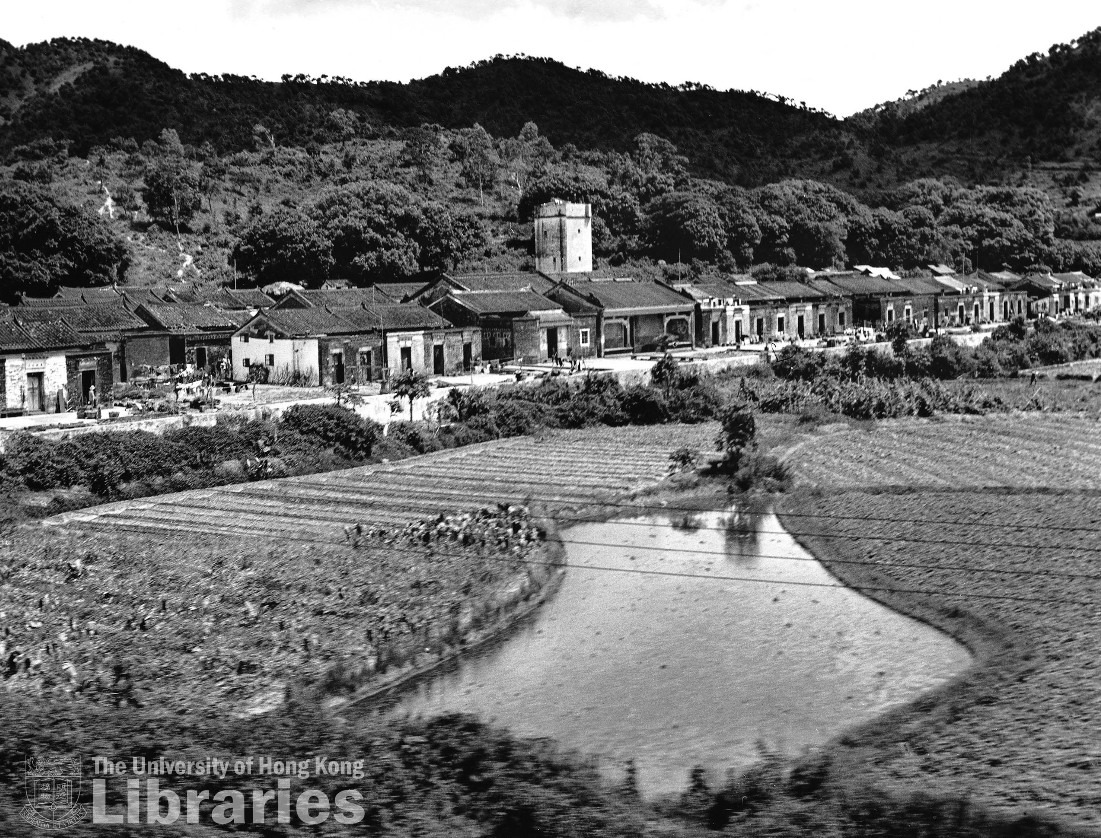 1960年代大埔頭村,圖中更樓前為敬羅家塾 1960年代大埔頭村,圖中更樓前為敬羅家塾