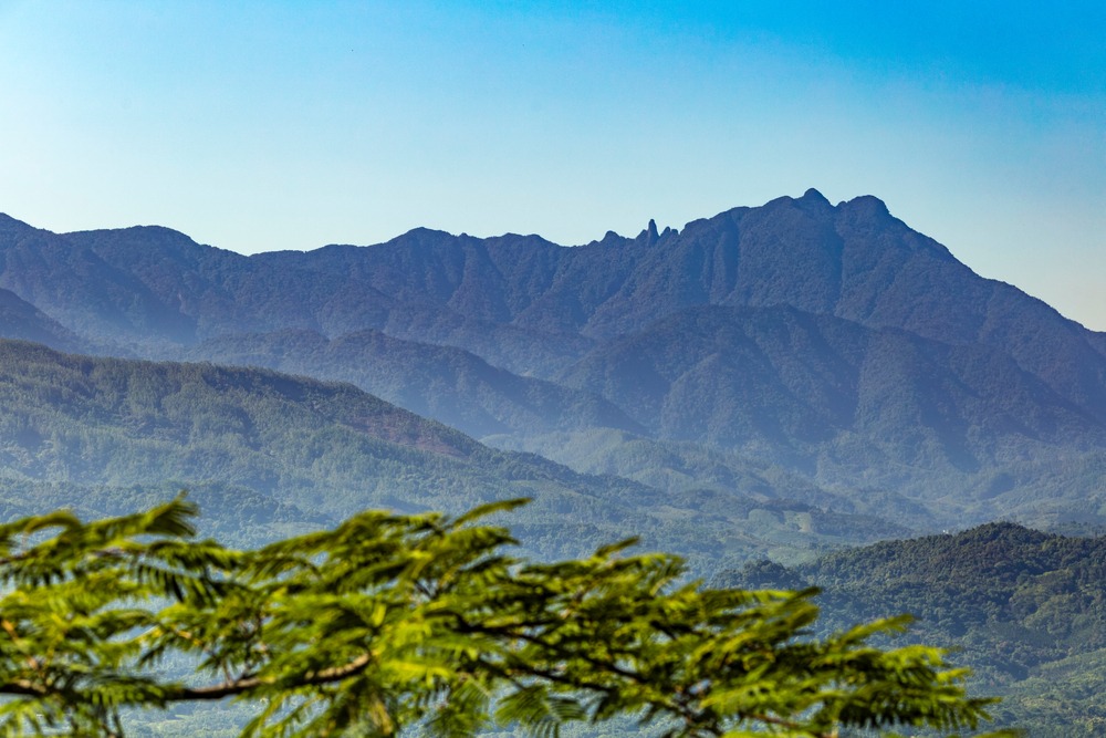 五指山