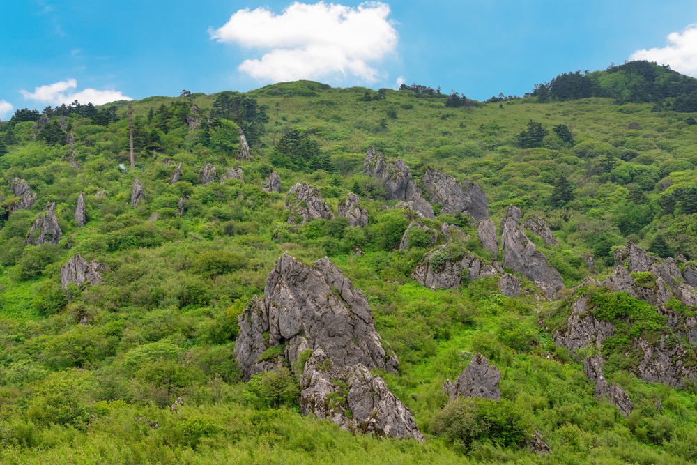 Shennongjia