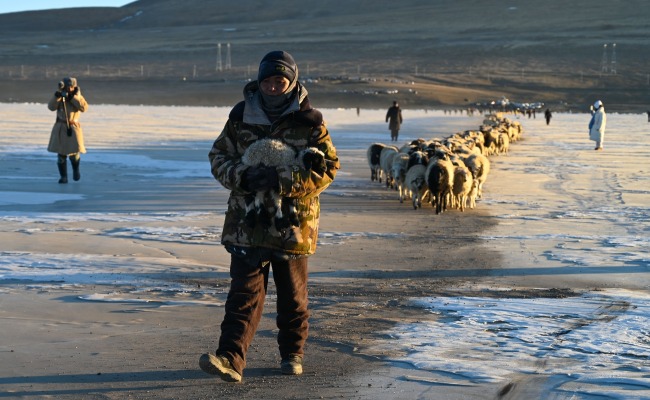 Tuiwa herders moving their sheep across a frozen lake.
