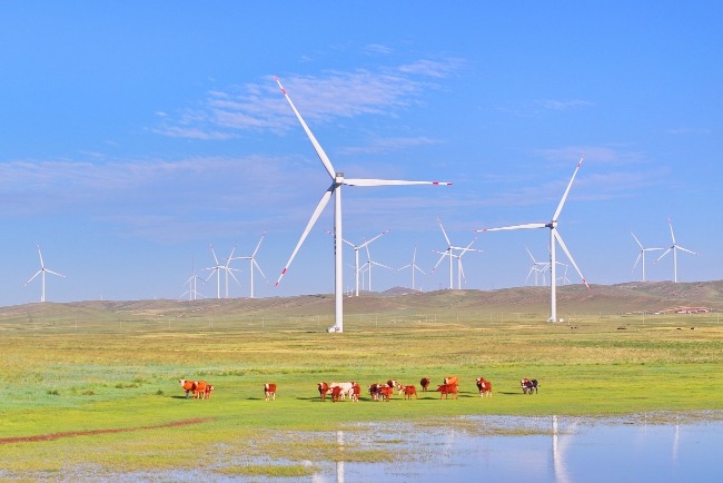 內蒙古是中國新能源重鎮，圖為草原上的風力發電機。